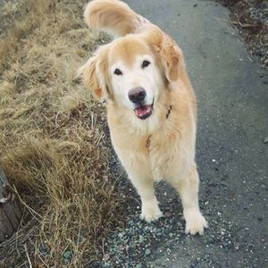 Meet your Posher, Shauna